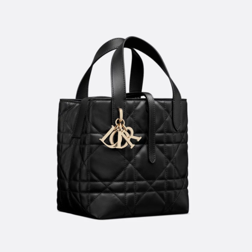 Dior 디올 Toujours 스몰 버티컬 토트백