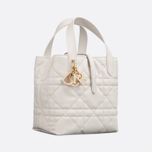 Dior 디올 Toujours 스몰 버티컬 토트백