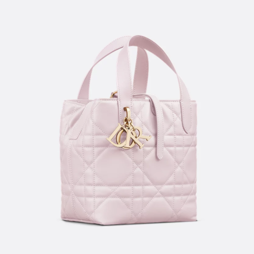 Dior 디올 Toujours 스몰 버티컬 토트백