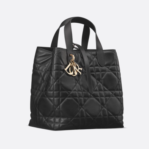 Dior Toujours 디올 미디엄 버티컬 토트백