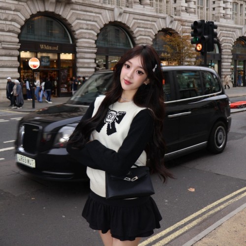 Chanel 샤넬 COCO Neige 스키시리즈 니트