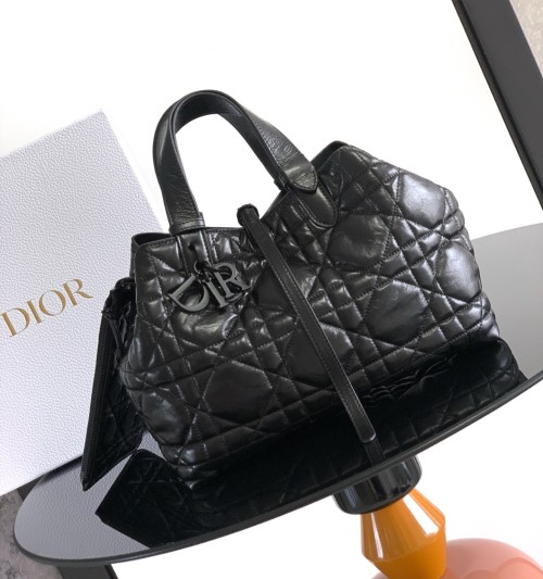 Dior 디올 Toujours