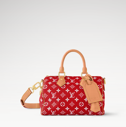 LV 루이비통 Speedy P9 반둘리에 25