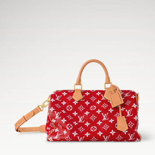 LV 루이비통 Speedy P9 반둘리에 40