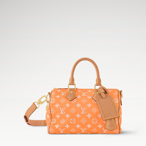 LV 루이비통 스피디 P9 (Speedy P9) 반둘리에 25