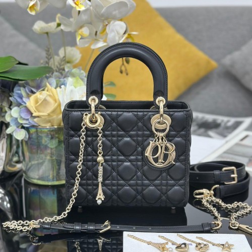 Dior 디올 Lady