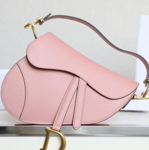Dior 디올 Saddle