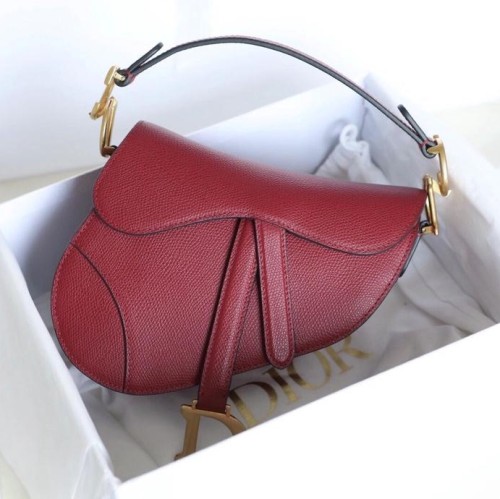 Dior 디올 Saddle