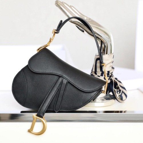 Dior 디올 Saddle