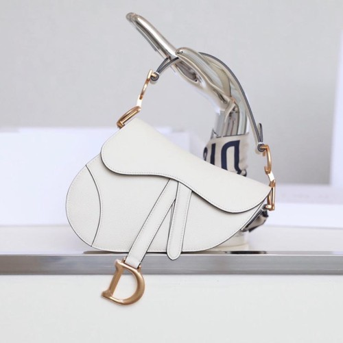 Dior 디올 Saddle (Small)
