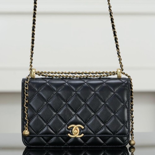 Chanel 샤넬 25s Woc