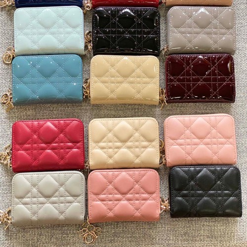 Dior 디올 montaigne voyageur