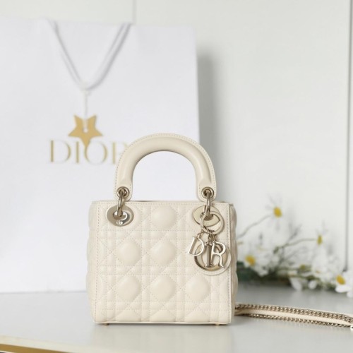 Dior 디올 Lady