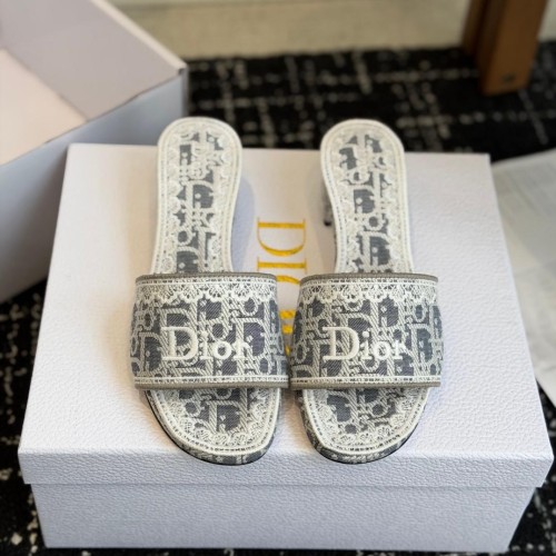 Dior 디올 Oblique